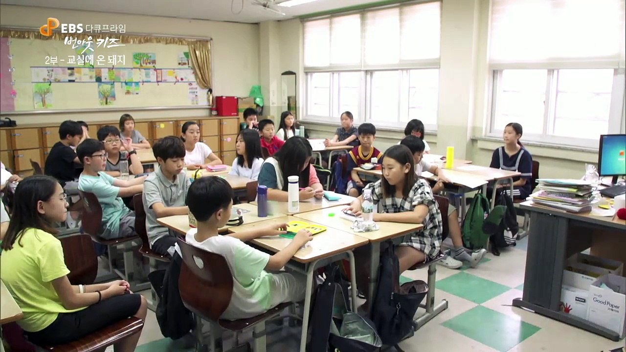 EBS 다큐프라임 - '번 아웃 키즈' 2부- 교실에 온 돼지, '진짜' 12살의 이...