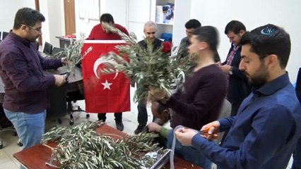 14 Şubatta gül demeti yerine zeytin dalı demeti
