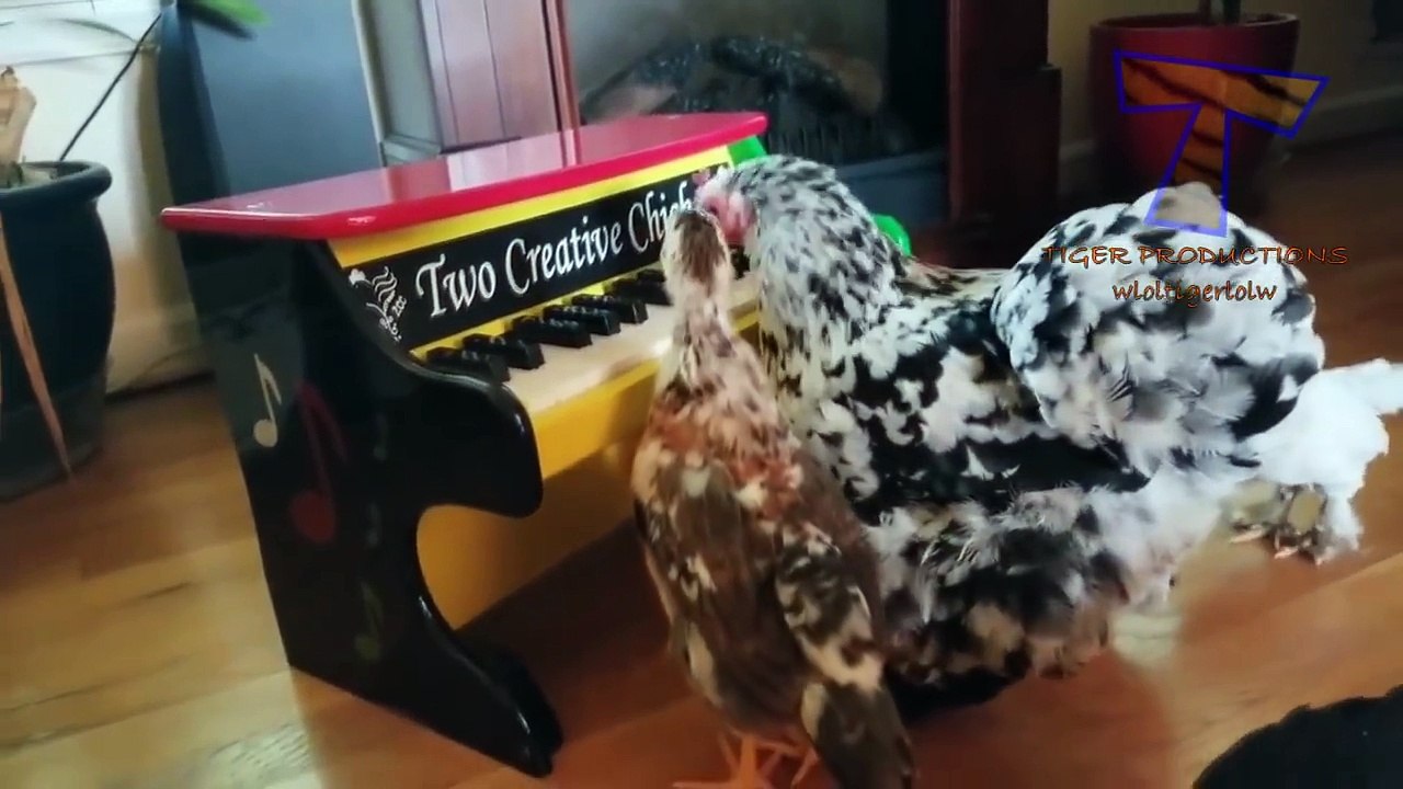 Just look how all these dogs :)