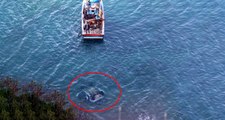 Zonguldak'ta  Otomobil 60 Metreden Denize Uçtu, Şoför Kayıp