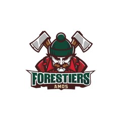 Midget AAA - Forestiers