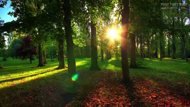 HUZURA DOGRU 09022018