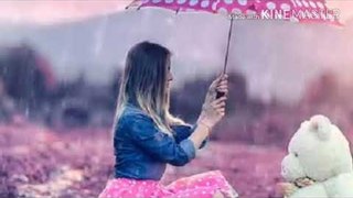Teddy day  Valentines Day whatsapp status video  10 feb special