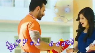 Teddy day special whatsapp status