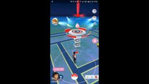 Pokémon GO Gym Battles 3 Gym takeovers Igglybuff Dugtrio Primeape Hitmonlee Exeggutor & more