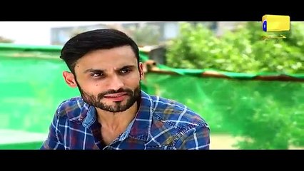 Hina Ki Khushboo Episode 27 | Har Pal Geo