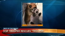 Colorado State Trooper Rescues Abandoned Newborn Puppy