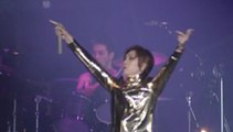 STONE BUTTERFLY (LIVE 2001/01/08) / THE YELLOW MONKEY イエモン