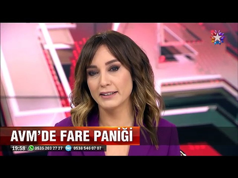 Alışveriş merkezinde yürüyen merdiveni sahiplenen fare müşterilere hücum etti