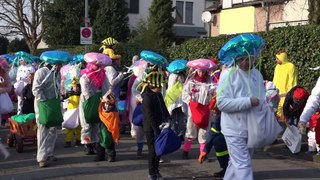 Hitdorfer Karnevalszug (09.02.2018)