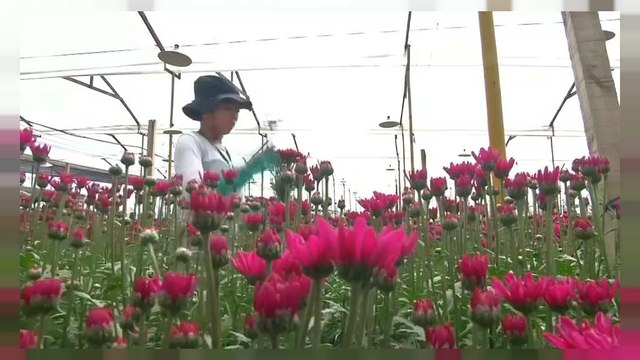 San Valentín, algo más que el día de los enamorados