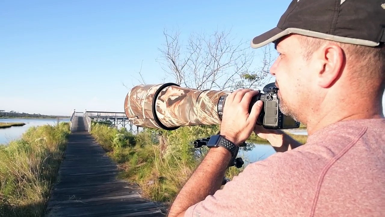 Nikon D850 Review For Wildlife, Landscape, and Nature Photographers