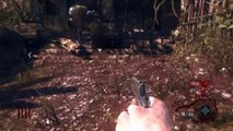 Black Ops Zombies Glitches: New Godmode TutorialBarrier Glitch on Shangri-la