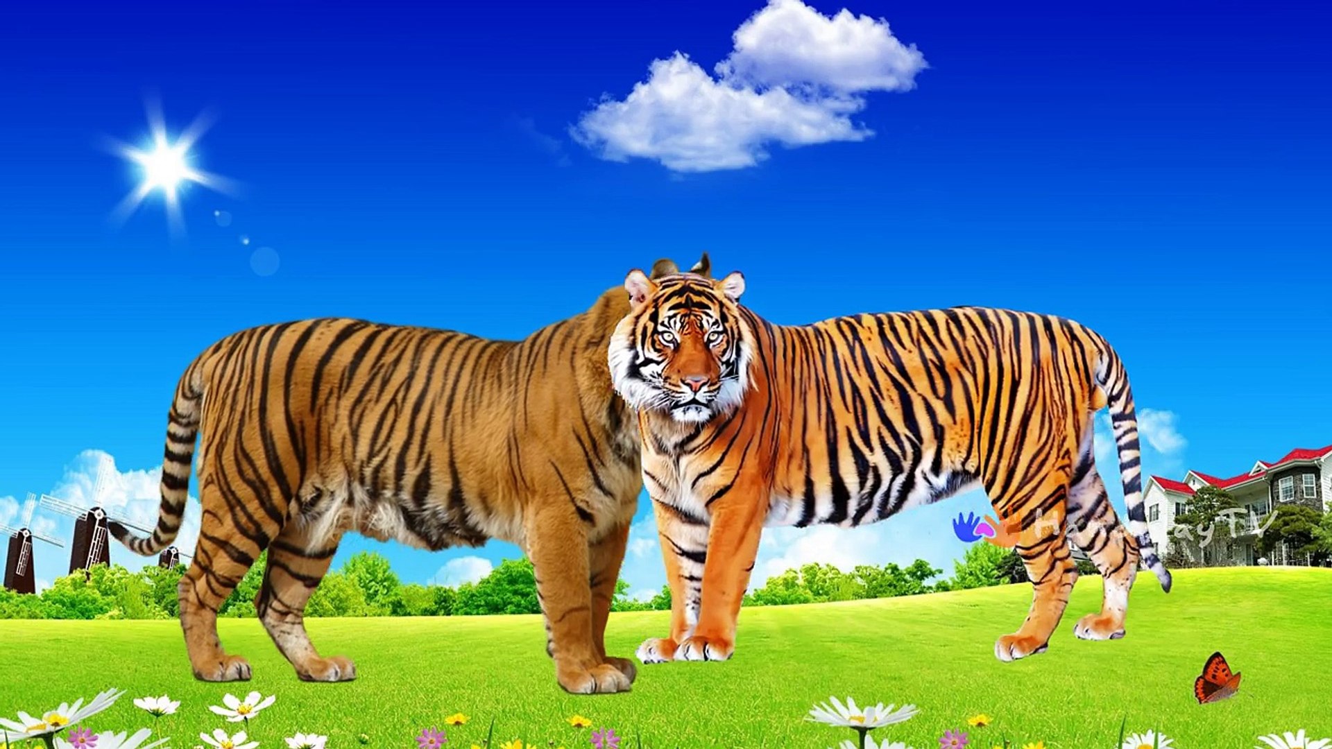 ⁣Learn Wild Animals Names | NEWBORN BABY ANIMALS | Learn Animals for Children
