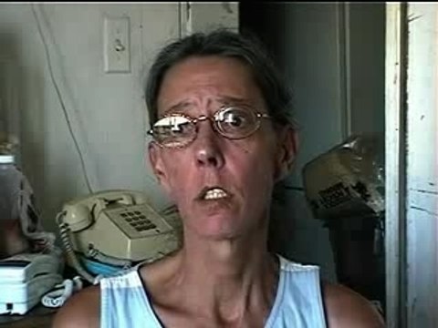 Maltraitance des porcs en élevage intensif