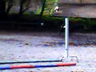 Enchainement barres au sol