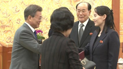 文 대통령-김여정 접견...北 메시지 주목 / YTN