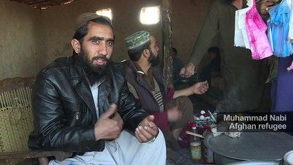 Video herunterladen: Refugees' choice: war in Afghanistan or tough life in Pakistan