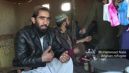 Refugees' choice: war in Afghanistan or tough life in Pakistan