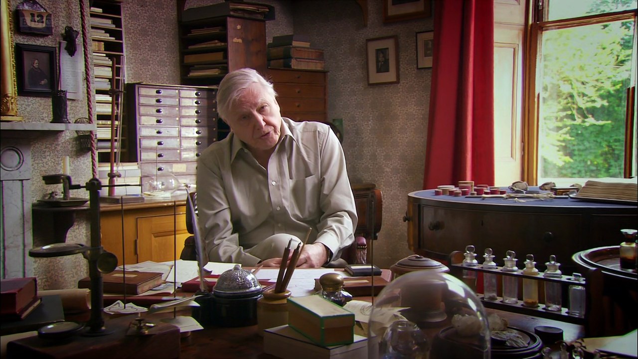 Charles Darwin and the Tree of Life