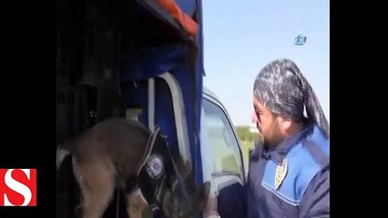 Afrin�de terör örgütü YPG militanlarına gönderilen cesaret hapları böyle ele geçirildi