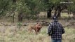 Man Punches a Kangaroo in the Face to Rescue His Dog (Original HD) Viralemu