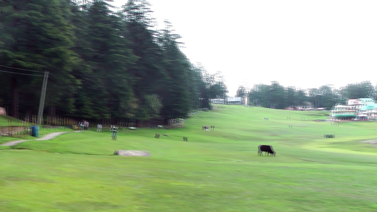 Khajjiar meadows
