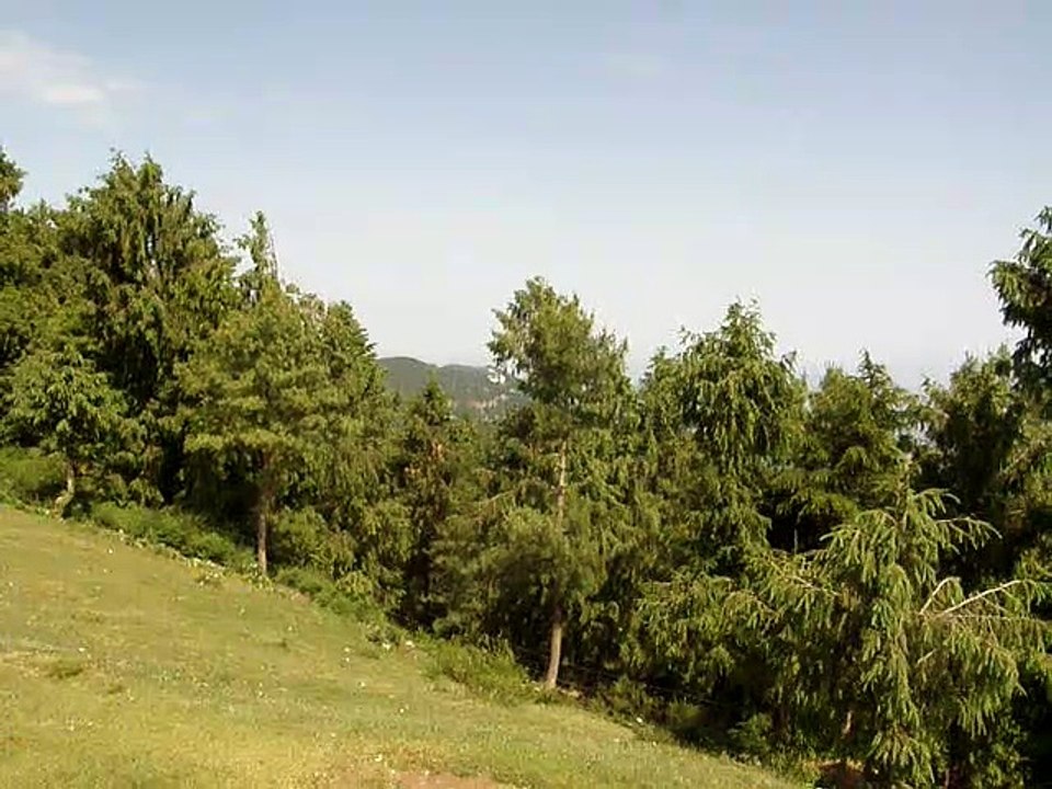 Seen From Kufri