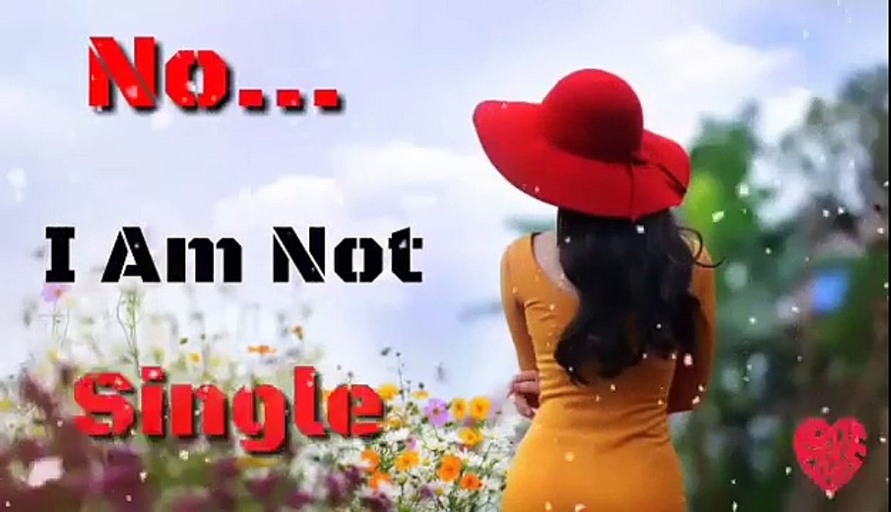 No I Am Not Single Valentine;s Day Special