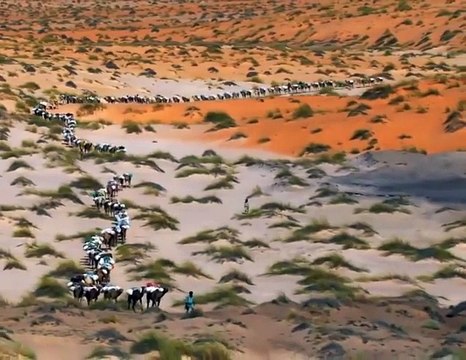 Watch and say سبحان اللہ العظیم