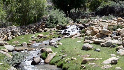 sights and sounds around phyang village and leh