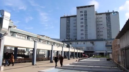 Trabzon'da Şarbon Paniği