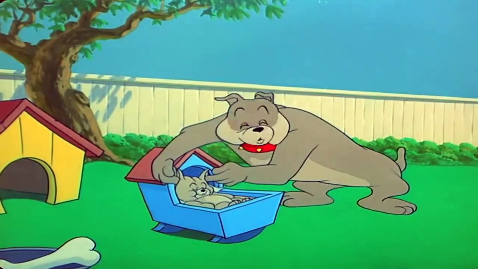 Tom and Jerry & Dog - video Dailymotion