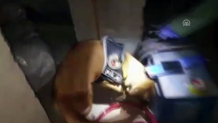 Uyuşturucuyu peynirin arasına gizlemişler - VAN