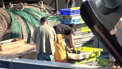 Une journée au port a SETE