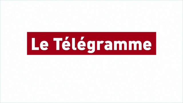 Guingamp. Deux chiens en divagation sur la RN12