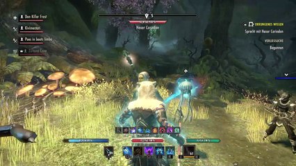 DonAleszandro The Elder Scrolls «-Selenes Netz mit Don Killer Frost-» (588)