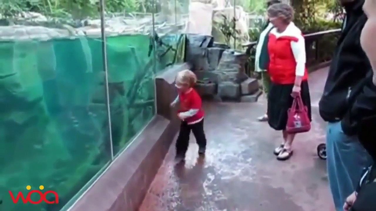 Babies_At_Zoo_Wild_Animal_Scares_Babies__New_Funny_Compilation