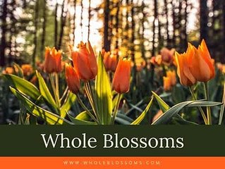 WholeBlossoms - Don't Look Anywhere Else For Fresh Flowers