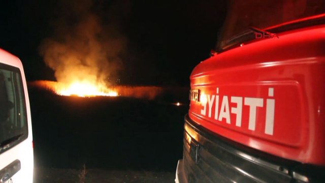 Van Gölü kıyısındaki sazlıkta yangın