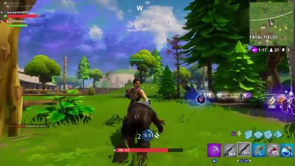 Fornite (road to level 100) (29)