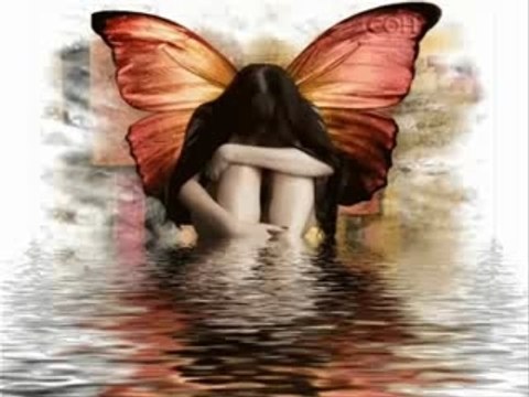 Coeur Brisé Houari Dauphin