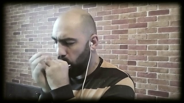 Don't Get Around Much Anymore (Duke Ellington) - Harmonica Blues