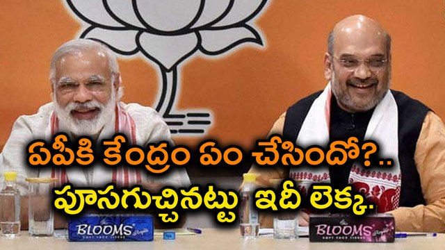 BJP MP Haribabu Press Meet On AP Projects With Statistics