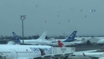 Atatürk Havalimanı'nda Yemek Yüklenen Uçağa Martılardan Yoğun İlgi