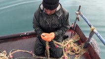 Van Gölü'nde 40 yıldır balık avlıyorlar - BİTLİS