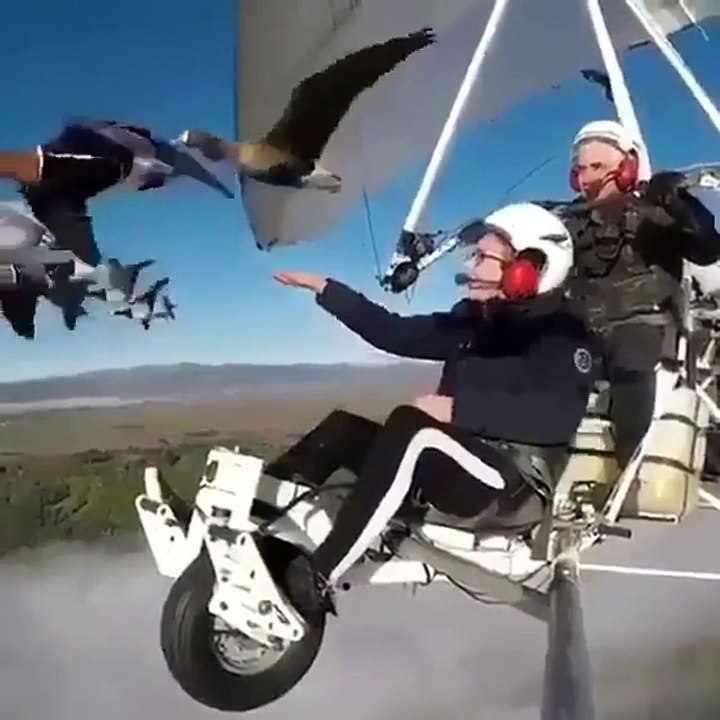 Check this out