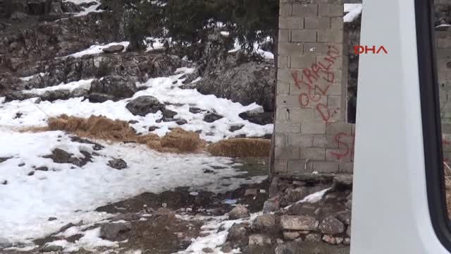 Mersin-Yaban Hayvanları İçin Doğaya Yem Bırakıldı