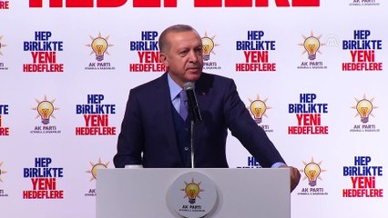 Cumhurbaşkanı Erdoğan : Bu sabah itibariyle bin 141 terörist etkisiz hale  getirildi - İSTANBUL
