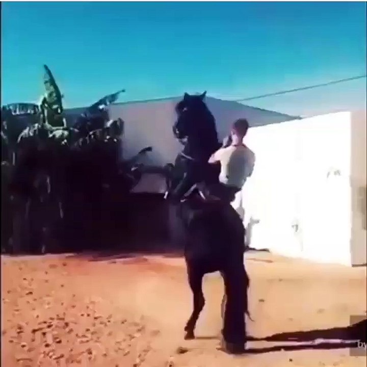 Angry Horse Riding - 2